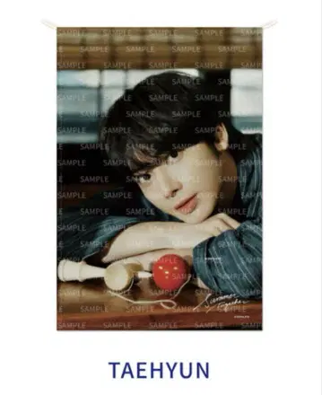 TXT summer together 패브릭 포스터 태현