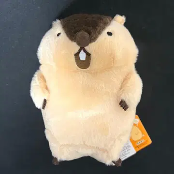 마모트의 모토토 절규 기믹 봉제 인형 Marmot mottoto