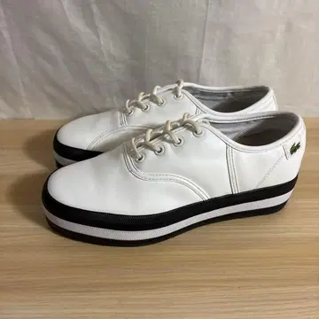 라코스테 LACOSTE 화이트 23.5cm 37