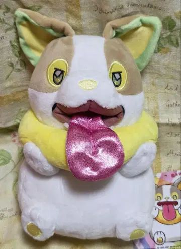 포켓몬 센터 완파치 봉제 인형 BEROBE~!