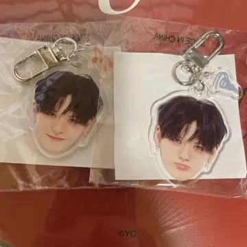 TREASURE 요시 얼굴 아크릴 키링 LOVE PULSE 캡슐 토이