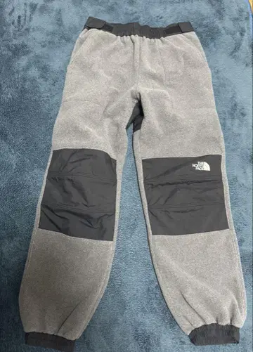 THE NORTH FACE 데날리 플리스 팬츠