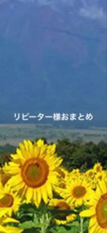 오팔 반지