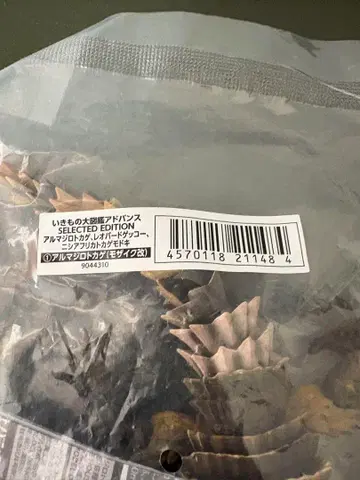 생물대도감 어드밴스 아르마딜로 도마뱀