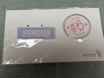 seventeen 네임 와펜 배지 세트 정한