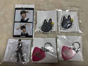 원빈 랜덤토이 랜토이 RIIZE