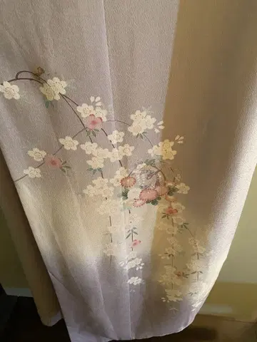 호몬기 늘어뜨린 벚꽃 연보라