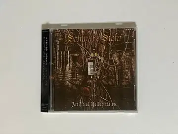 Schwarz Stein Artificial Hallucination