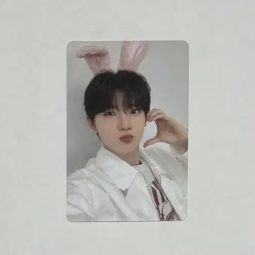 TREASURE 준규 PLUSE ON 팝업 8000엔 트레이딩 카드