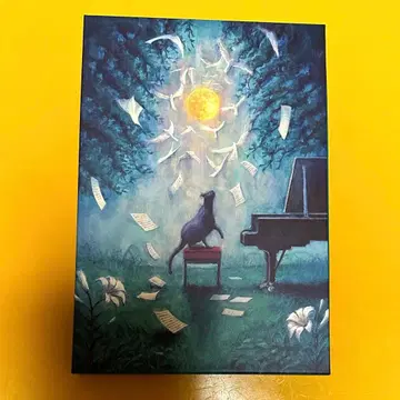 요루시카 달과 고양이의 댄스 DVD 초회 한정판