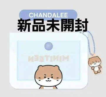 SEVENTEEN 디노 미니틴 MINITEEN 파우치