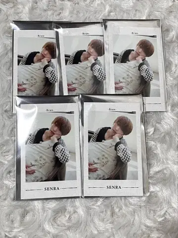 우라시마사카타센 센라 폴라로이드