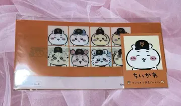 치이카와 티켓 홀더