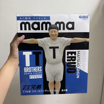 TT 형제 피규어 테루오