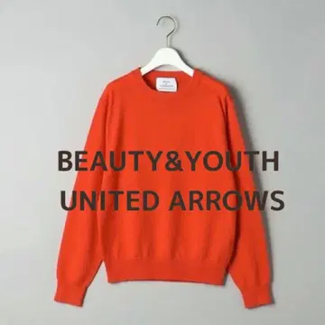 시착만 한 상품 BEAUTY&YOUTH UNITED ARROWS 니트