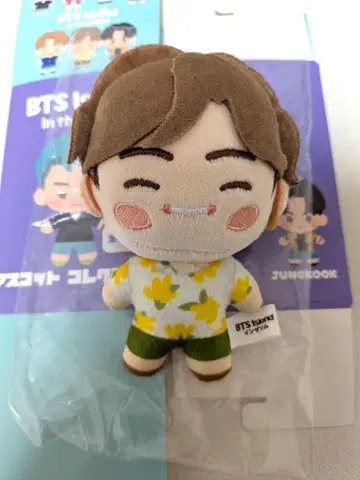 BTS 인더섬 마스코트 컬렉션 (뷔) 시마무라