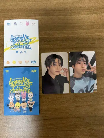 straykids 스키즈 앙콘 STAYZONE 한