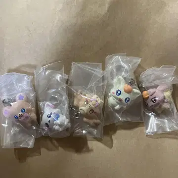 푸치큐아 메지루시 액세서리