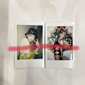 JILUKA 폴라로이드 Sena 오키나와