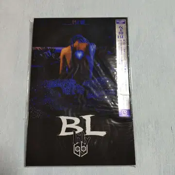 [ 봉지 ] BL-lily-