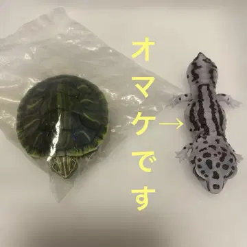 생물대도감 어드밴스 거북이01 미시시피붉은귀거북 다크 컬러