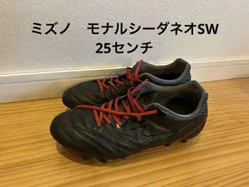 미즈노 모나르시다 네오 SW 25cm