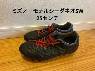 미즈노 모나르시다 네오 SW 25cm