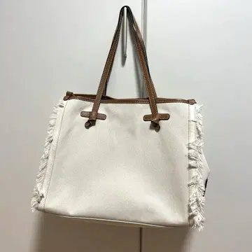 잔니 키아리니 토트