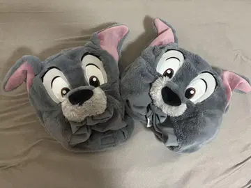 카드놀이 팬캡