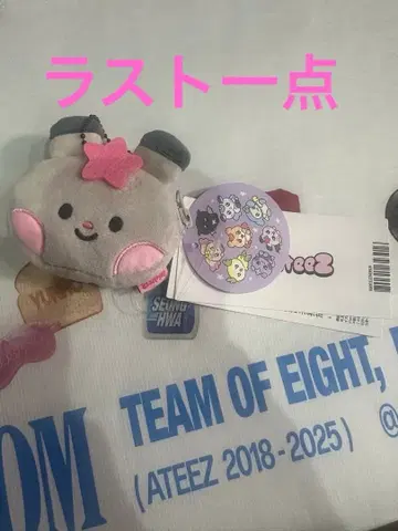 ATEEZ 라인프렌즈 mighteez 미니 파우치 키링 성화