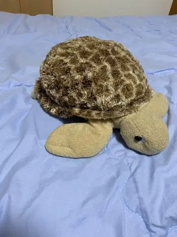 오키나와츄라우미 수족관 거북 봉제 인형