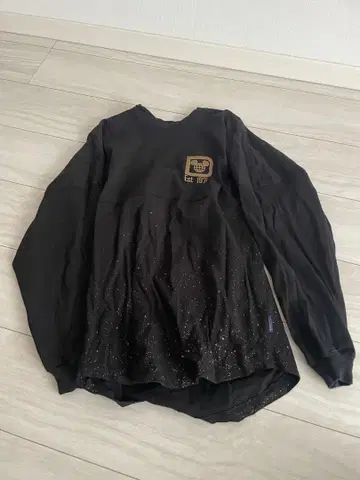 wdw 스피릿 저지 미녀와 야수