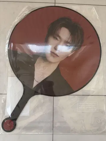 SEVENTEEN 세부치 디노 부채