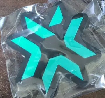 VALORANT vct2023 오프라인 관전 한정판 키링