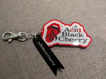 Acid Black Cherry 아크릴 키링