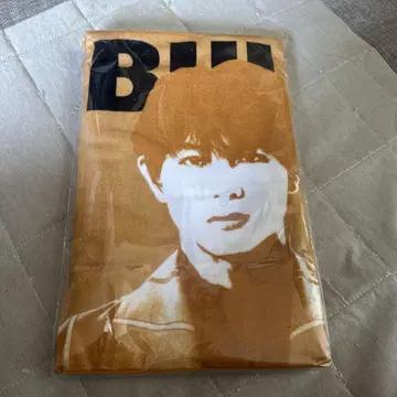 시험 삼아 써보는 초특급 타월 하루
