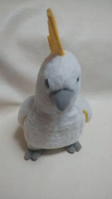 앵무새 봉제 인형 코616