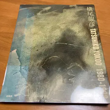 요코오 타츠히코 : 1980-1998 (Q7)