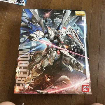 MG 1/100 프리덤 건담 Ver.2.0