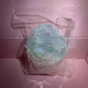 민트 그린 장미 소프트 반짝이