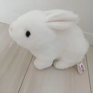 우에노 동물원 화이트 토끼 봉제 인형 소리 나는 봉제 인형