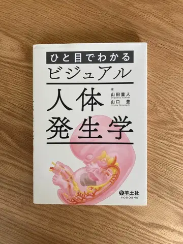 한눈에 보는 비주얼 인체 발생학