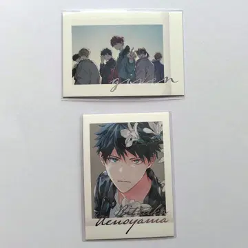 기븐전 ENCORE 집합 릿카 파샤코레 PREMIUM 컬러
