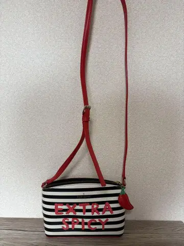 kate spade EXTRA SPICY 숄더백