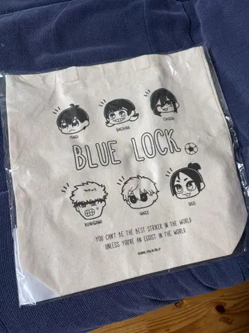 블루 록 토트백