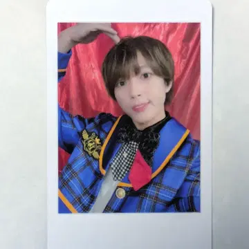 팬더 드래곤 하피카 팟치
