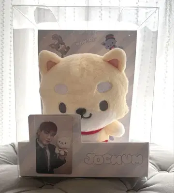 JOCHUM JO1 마메치 봉제 인형 마메하라 잇세이 트레이딩 카드