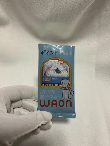 하츠네 미쿠 WAON 포인트 카드 SAPPORO 한정판