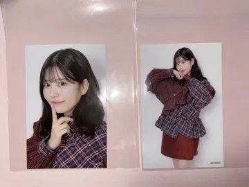 H상 스마트폰 사이즈 스티커 FRUITSZIPPER