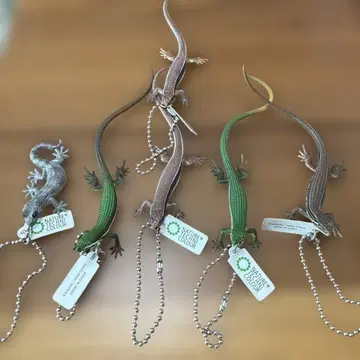 네이처 테크니컬러 도마뱀